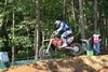 IMG_2354.jpg (164kb)
