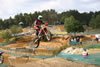 IMG_2395.jpg (132kb)