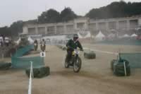 IMG_4850.jpg (3kb)