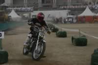 IMG_4852.jpg (3kb)